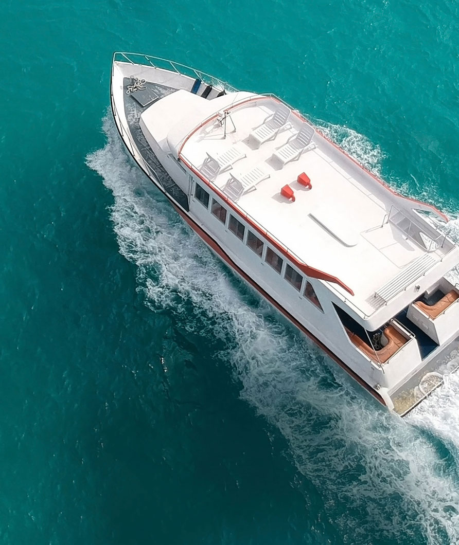 Boat Tours & Boat Rental